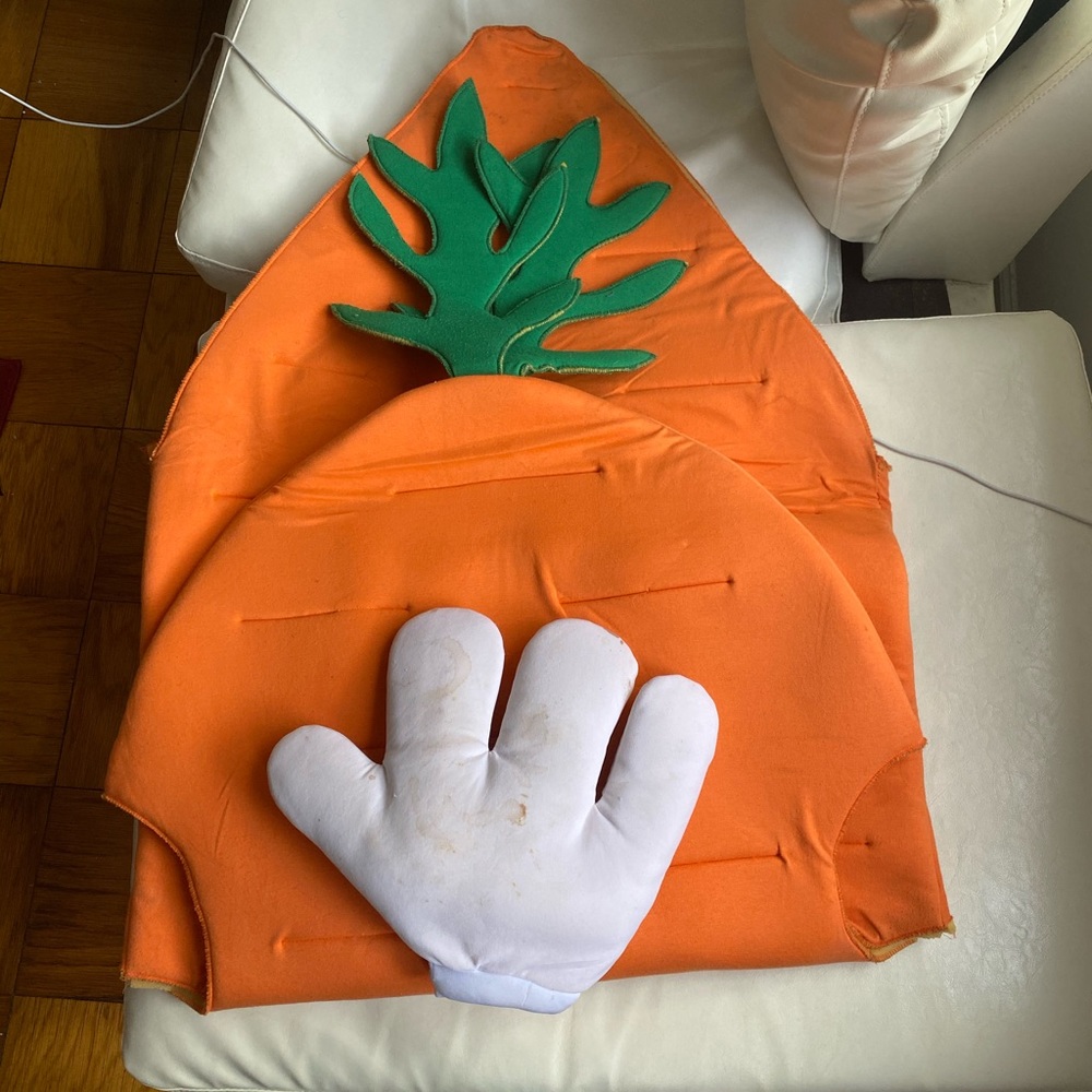 Halloween carrot costume